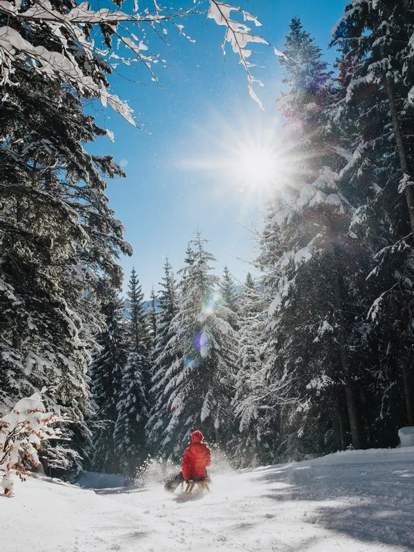 Person in red jacket sledding through snowy forest path under bright winter sun
