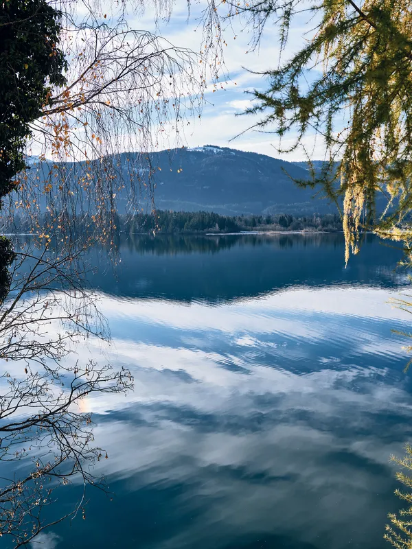 Autumn trees by a calm lake reflecting mountains and sky in peaceful nature scene
