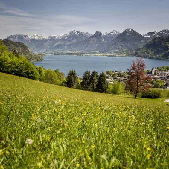 Bergsee mit Alpendorf und Wildblumenwiese unter blauem Himmel