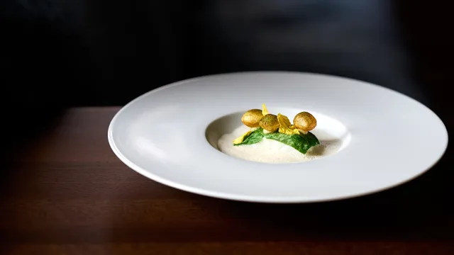 Gourmet plated dish with foam, greens, and golden mushrooms on a white plate