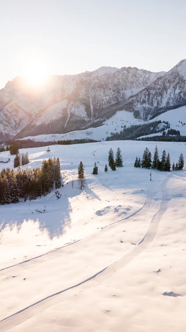 Schneebedeckte Alpenlandschaft mit Kiefern und Berggipfeln bei Sonnenaufgang