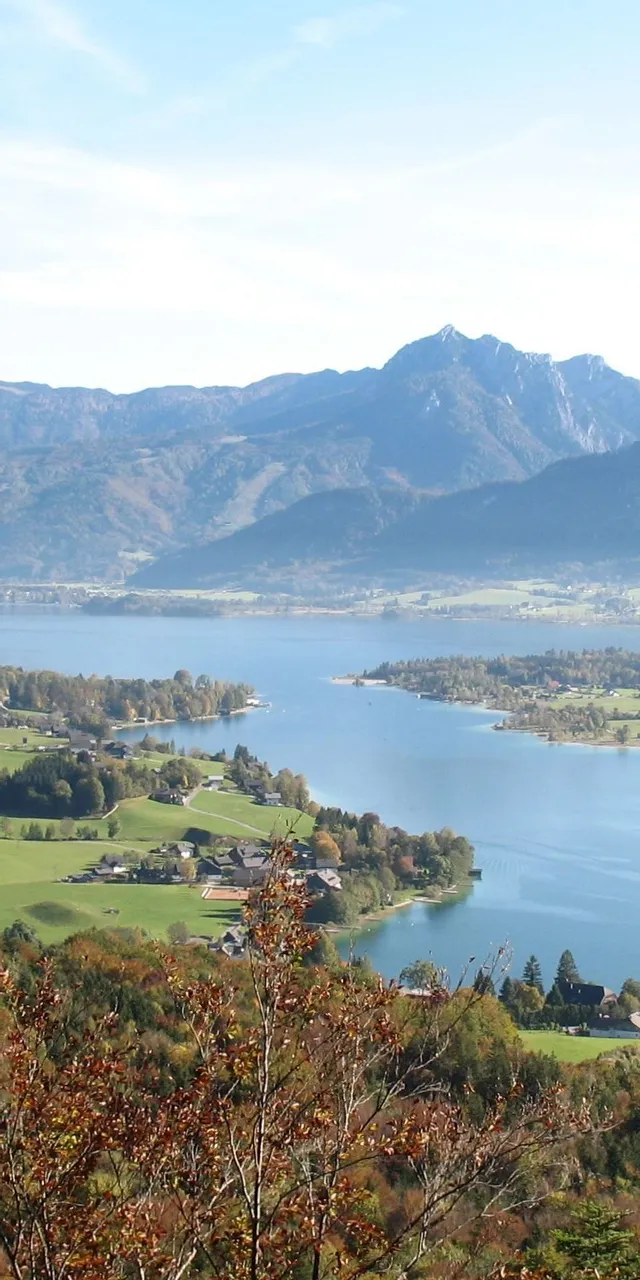 Aussicht auf den Wolfgangsee mit Alpenbergen und herbstlichem Wald in Österreich